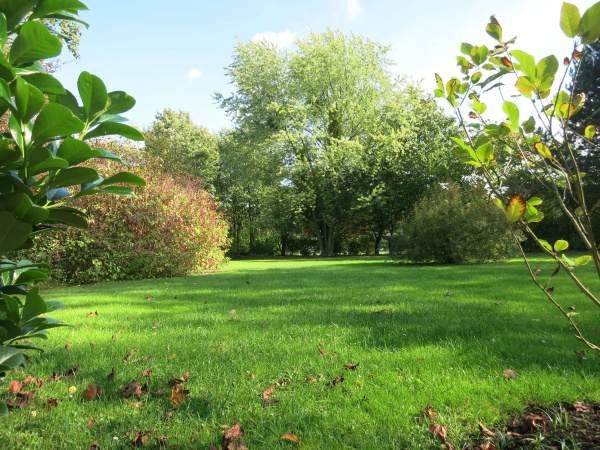 Eine weitere Perspektive des Klinikparks Eine weitere Perspektive des Klinikparks