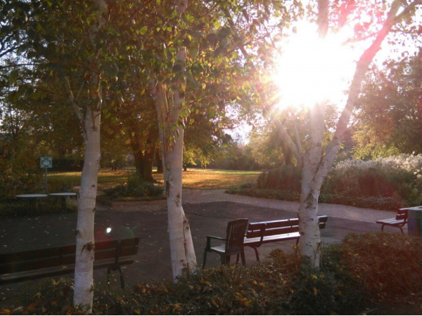 Hauseigener Park im November 2014 Hauseigener Park im November 2014