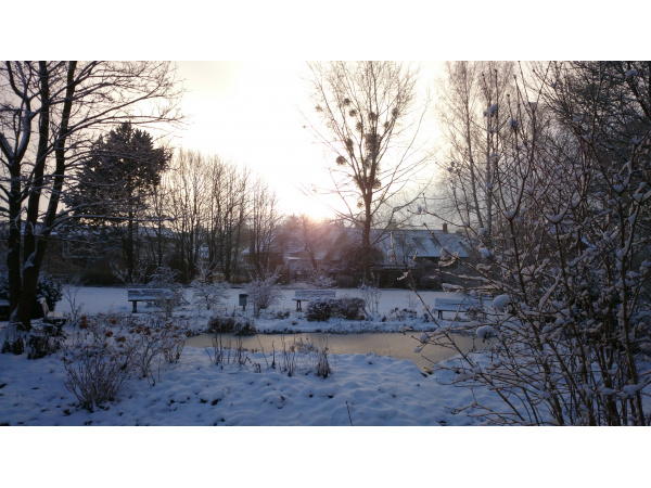 Winter in Bad Eilsen - 18. Januar 2016 Winter in Bad Eilsen - 18. Januar 2016