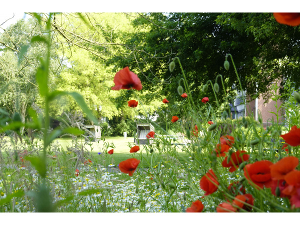 Park Juni 2020 Park Juni 2020